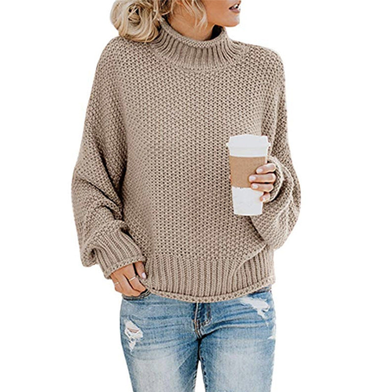 Chunky Turtleneck Knit Sweater
