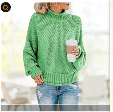 Chunky Turtleneck Knit Sweater