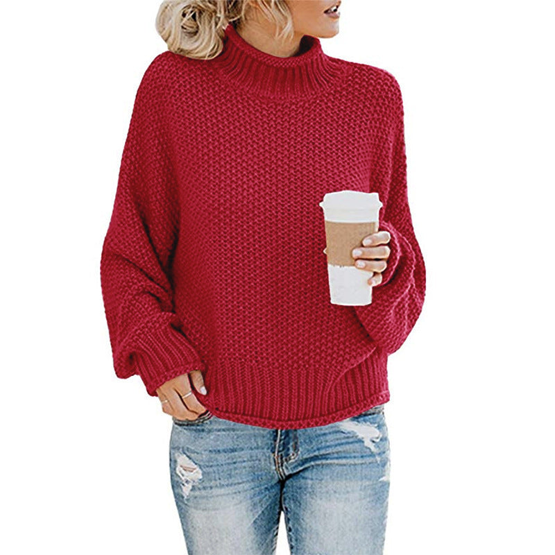 Chunky Turtleneck Knit Sweater