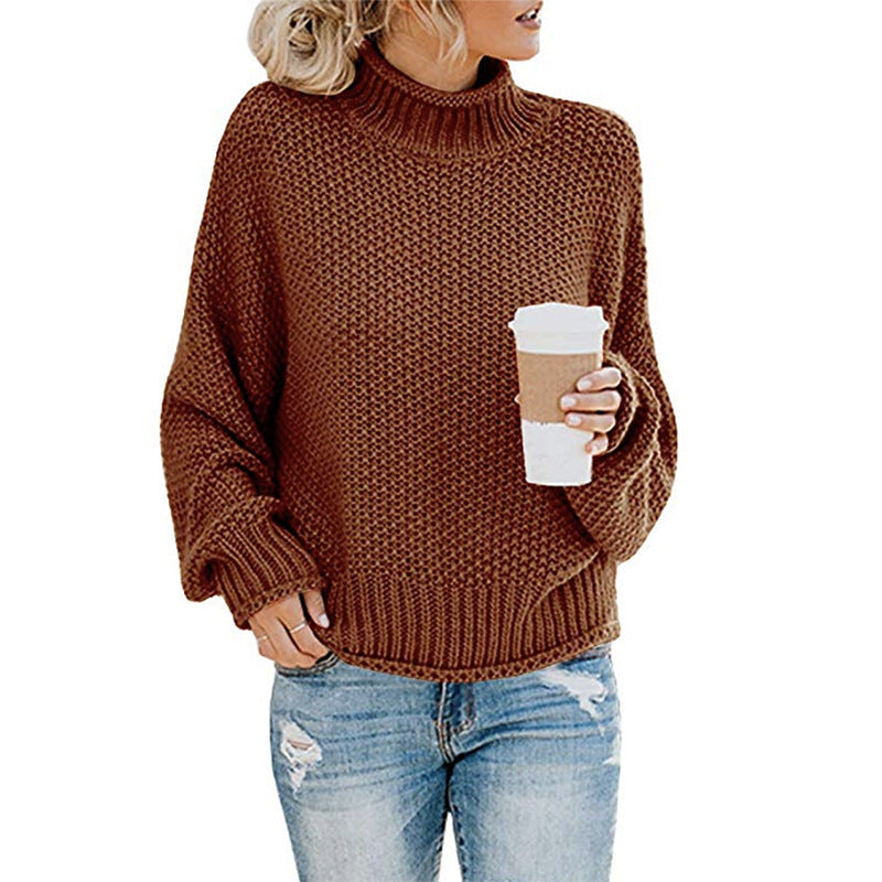 Chunky Turtleneck Knit Sweater