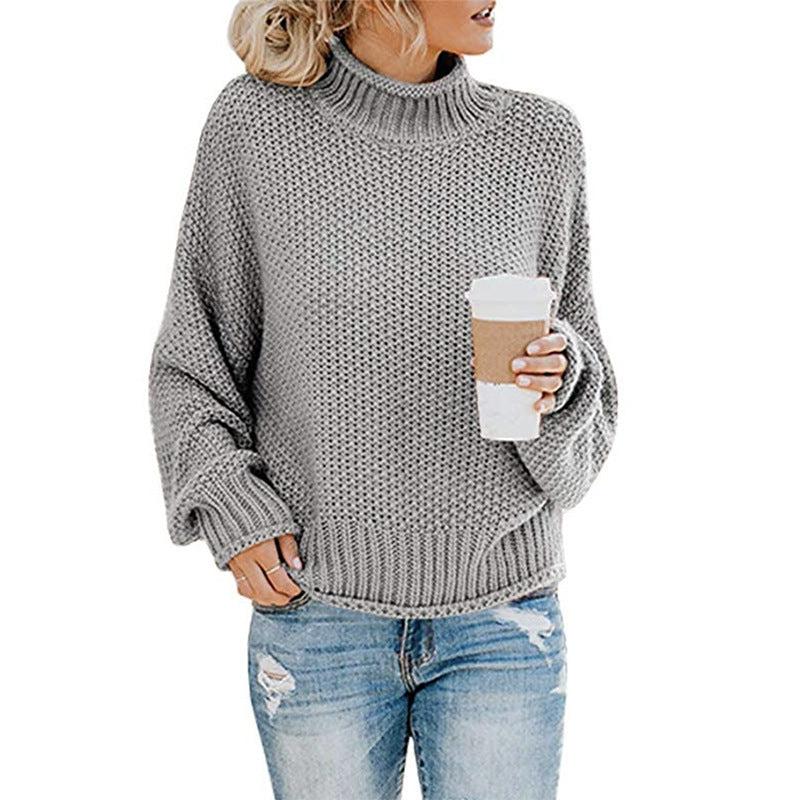 Chunky Turtleneck Knit Sweater
