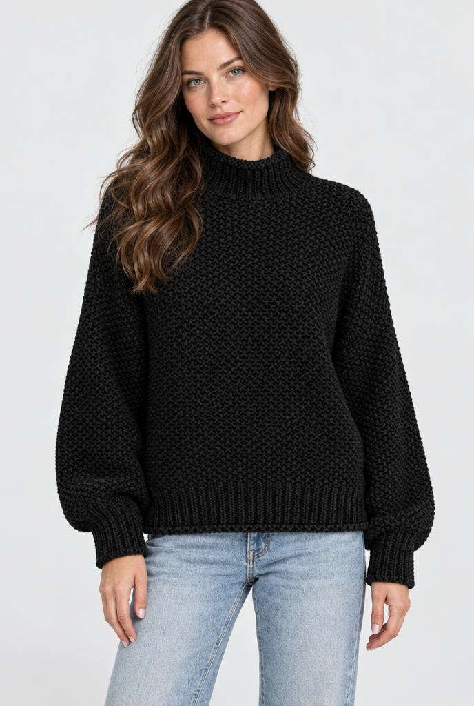 Pull col roulé en grosse maille — Noir — photo studio