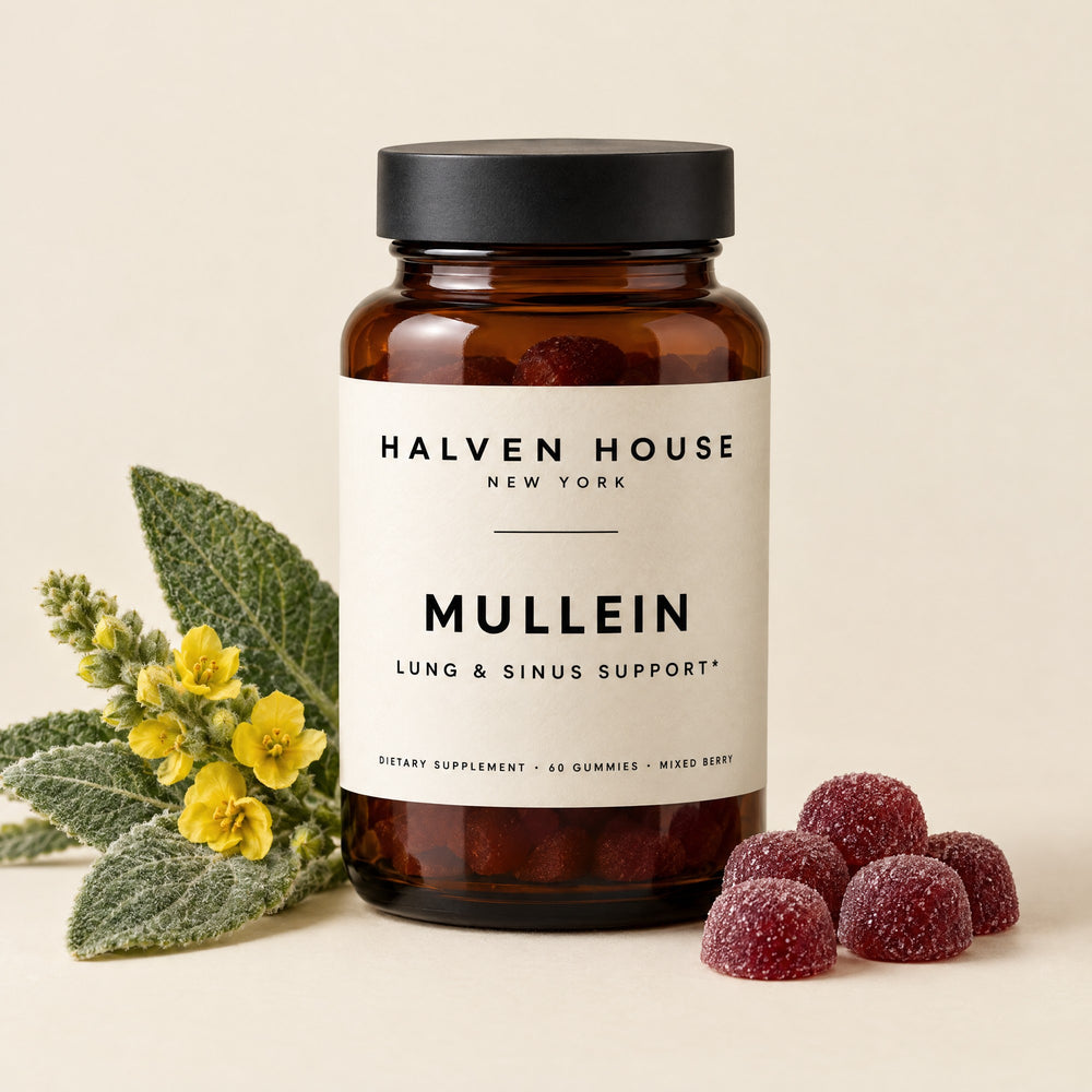 Halven House Mullein Lung & Sinus Gummies bottle with mixed berry gummies