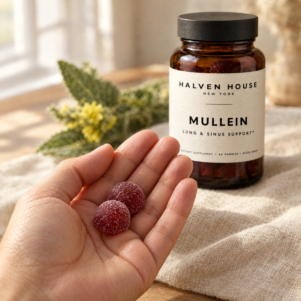 Two mixed berry Mullein gummies in a hand