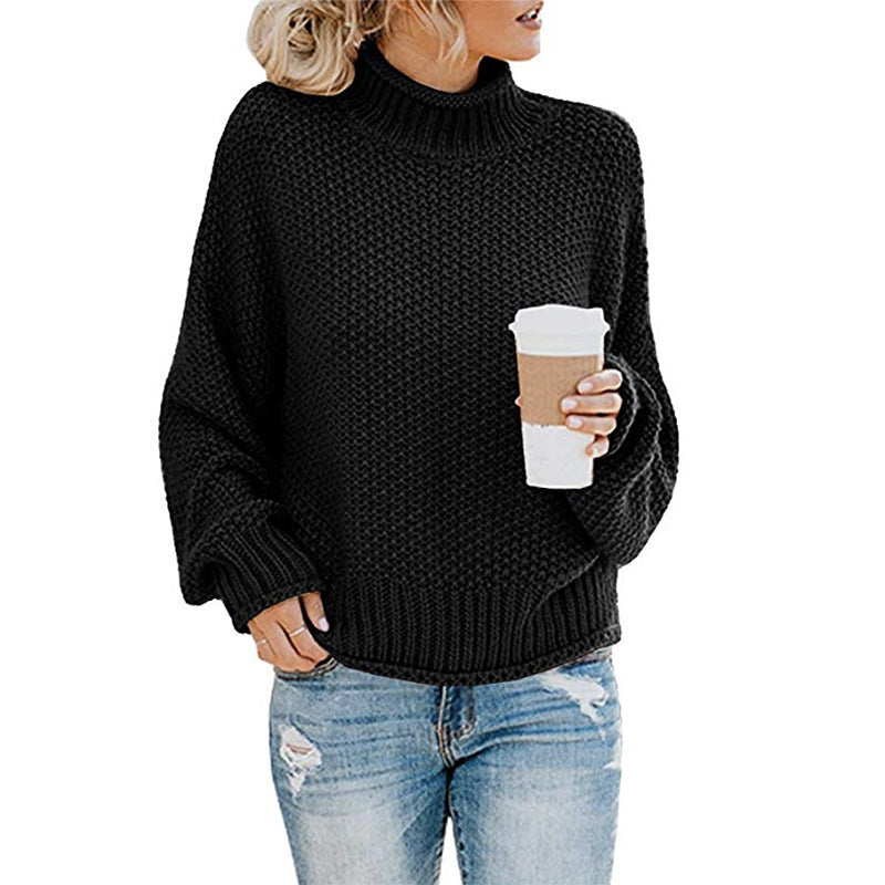 Chunky Turtleneck Knit Sweater