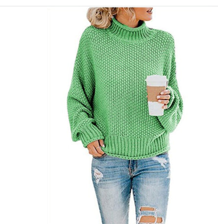 Chunky Turtleneck Knit Sweater
