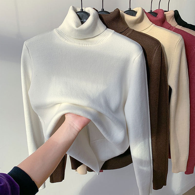 Plush-Lined Turtleneck Knit Sweater